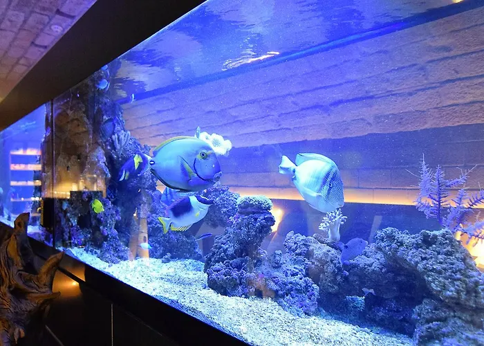 Heinrich-schütz-residenz Hotel Dresden