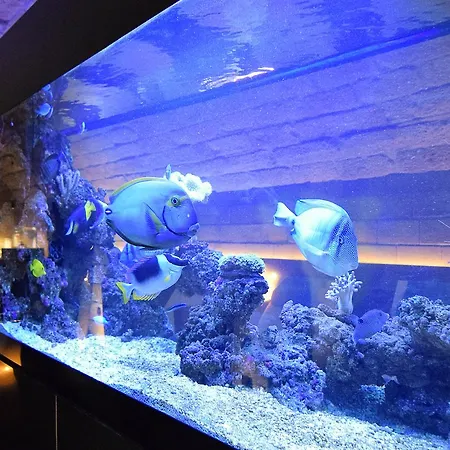 Heinrich Schuetz Residenz ホテル ドレスデン